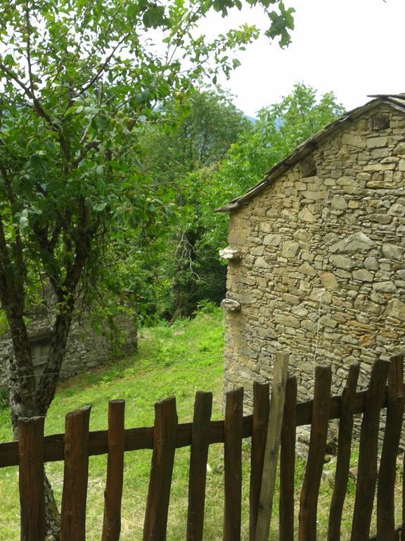 Hostal La Casa Nel Bosco Ponte della Venturina Habitación foto