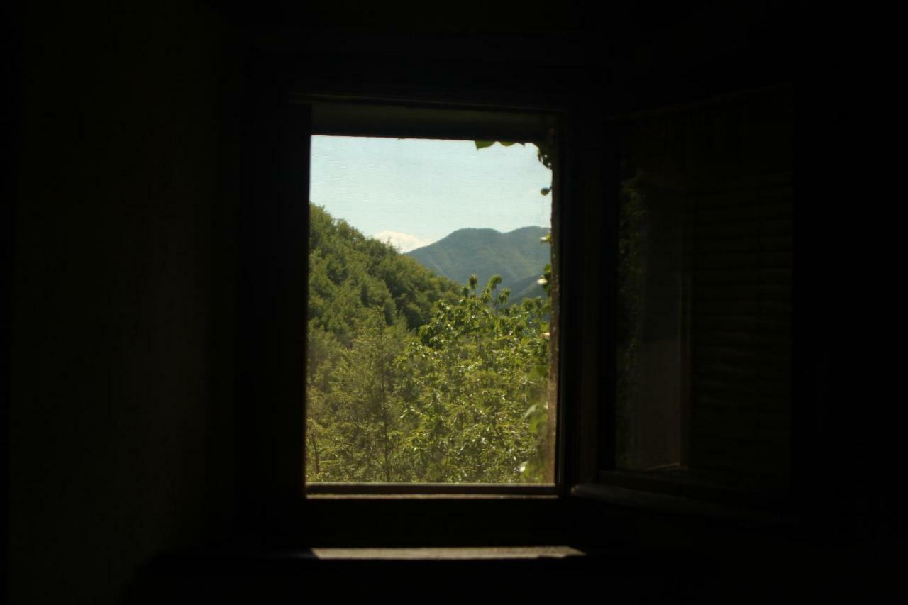 Hostal La Casa Nel Bosco Ponte della Venturina Exterior foto